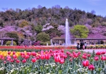 4/8 噴水池を中心にした「四季の花壇」は、季節の花々が咲き誇る憩いの場所になっています・・・!!!