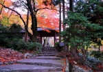 11/29 朝露に濡れた石畳の階段...と、趣のある〘山門〙の向こうに観える“紅葉”を・・・!!!