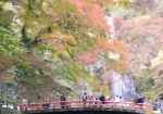 紅葉の時期の箕面の滝