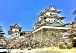 伊賀上野城と桜です