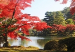 兼六園　紅葉　©石川県観光連盟