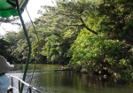 湖水観賞舟に乗って水路と森を周遊／ビオスの丘