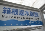 箱根園水族館