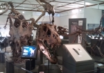 御船町恐竜博物館 (旧館)