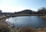 道の駅に隣接する調整池。渡良瀬遊水地のハート形を模している。