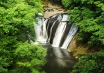 新緑に包まれた生瀬滝（５月）