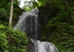 奥入瀬渓流の滝