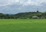 妙成寺五重塔と田園風景。