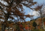 中禅寺湖周辺は宿泊街で栄えている