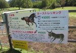 富士山のお馬さんより全然安いな！！！