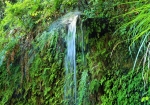 鎌倉の湧き水、一条の滝