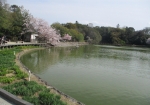 橿原神宮前の池
