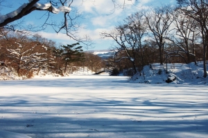 同じ場所で撮影した１月の結氷後の大沼です。