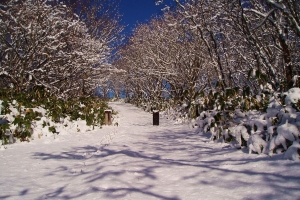 雪が積もった「日暮山」への遊歩道です。