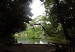 池を中心とした回遊式築山泉水庭園