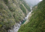 祖谷渓の遠景