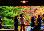 茶店からの紅葉景色「絵画風」