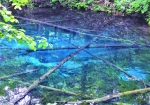 全てを写しこむような池の水に、倒木がエメラルドブルー色の神の子池に華を添えている感じもします。