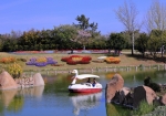 4/16 戻りの畔から・・・スワンボートで春を楽しむ外国のカップル...と、背景を彩る“花園”を・・・!!!