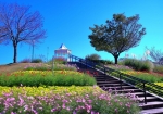 10/20 階段花壇を彩る季節の花たちと映える丘の上の真っ白い〘ガデボ〙を・・・!!!