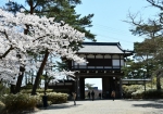 桜が美しい千秋公園　© 秋田市