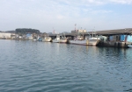 大漁旗を掲げた船が停泊する田辺港