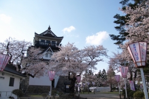 横手城の桜祭り！