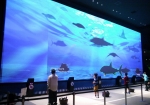 巨大スクリーン「アニマルペディア」で、海の生き物の生態をゲーム感覚で学ぶ／オービィ横浜