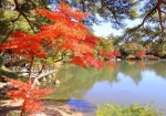 11/16 湖畔で秋を楽しむ人達...と、色づいた“もみじ”を…!!!