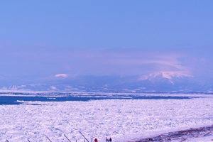 遠く知床の山々と流氷のオホーツク海を歩く（展望台より撮影）