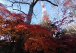 東京タワーと増上寺の間にある。