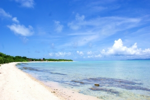 三日月型の白砂とエメラルドグルーンの海が美しいコンドイビーチ