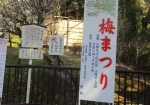 成田山公園内の梅まつり