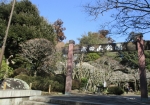成田山公園内の梅林