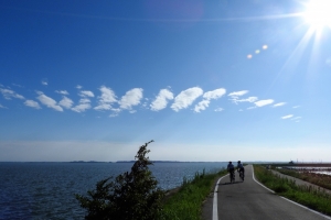 サイクリングロードが整備され、青い空と霞ケ浦湖畔を爽快に走れます。