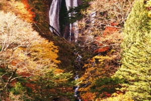 紅葉に染まる「ヒナタオソロシの滝」※奥鬼怒川温泉から１ｋｍ