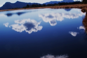 池塘に映る朝日と雲の流れ
