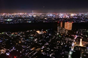 東京都心とスカイツリーを望む人気の西側夜景