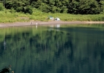 湖畔キャンプ。森に囲まれた自然豊かな本栖湖