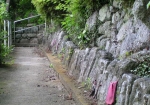 裏山の坂道