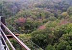 吊り橋からの眺め