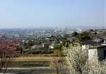 境内から見える大阪平野