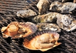 美味しそうな匂いと音が聞こえて来そう・・。思わずヨダレが出て来そうな、ホタテ貝と牡蠣貝の炭火焼き。