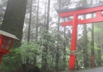 箱根神社の参道