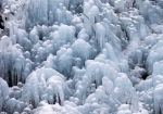 観光客と圧巻の氷柱の森