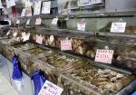 特産の牡蠣貝が大量に売られていました。この牡蠣貝はイートインコーナーで試食出来ます