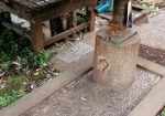 井戸とポンプ
