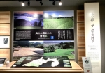 静岡県のお茶の歴史