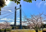 木場公園大橋人道橋です