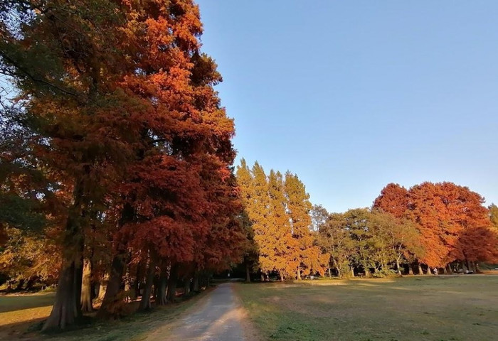 秋ヶ瀬公園